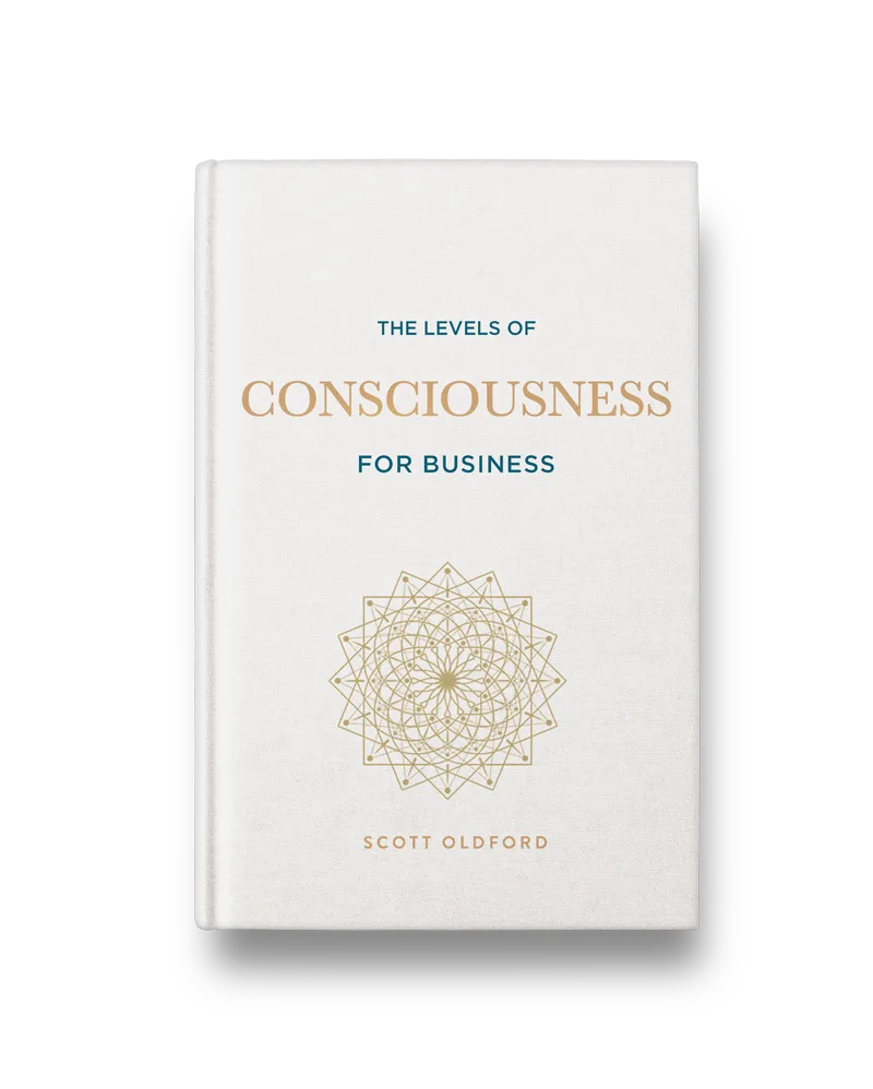 The Levels of Consciousness for Business book cover